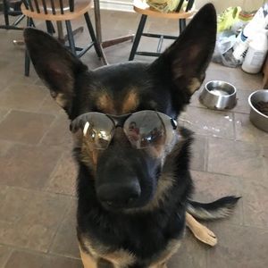 Meet your Posher, John